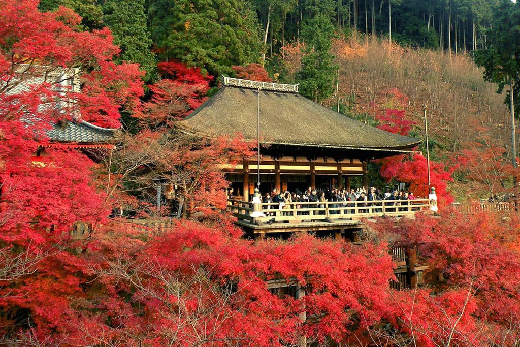 Zen Kyoto Kinkaku-Ji Templeヴィラ エクステリア 写真