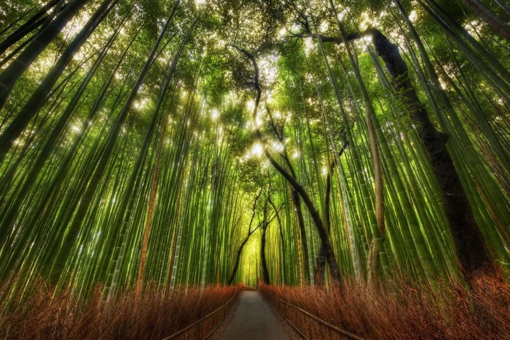 Zen Kyoto Kinkaku-Ji Templeヴィラ エクステリア 写真