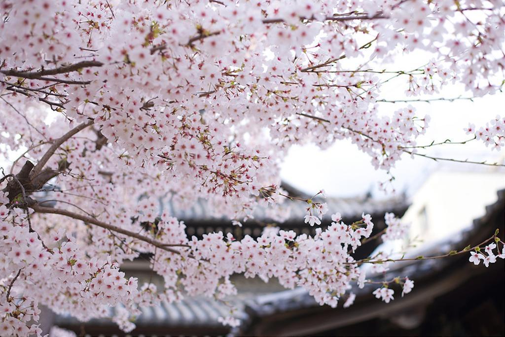 Zen Kyoto Kinkaku-Ji Templeヴィラ エクステリア 写真